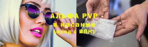 эйфоретик Верея