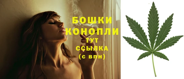 соль курить ск Сосновка