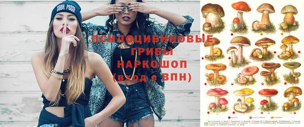 mdpv Володарск