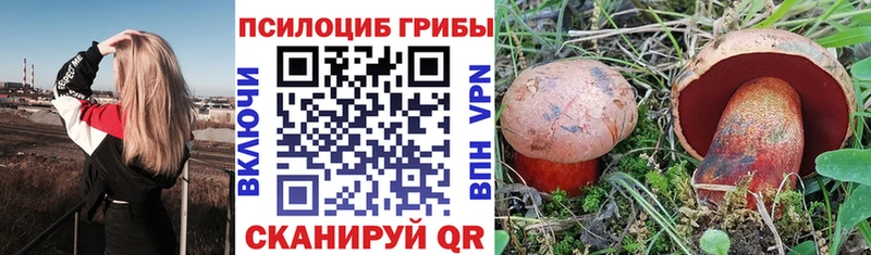 Галлюциногенные грибы Psilocybine cubensis mega ССЫЛКА Володарск